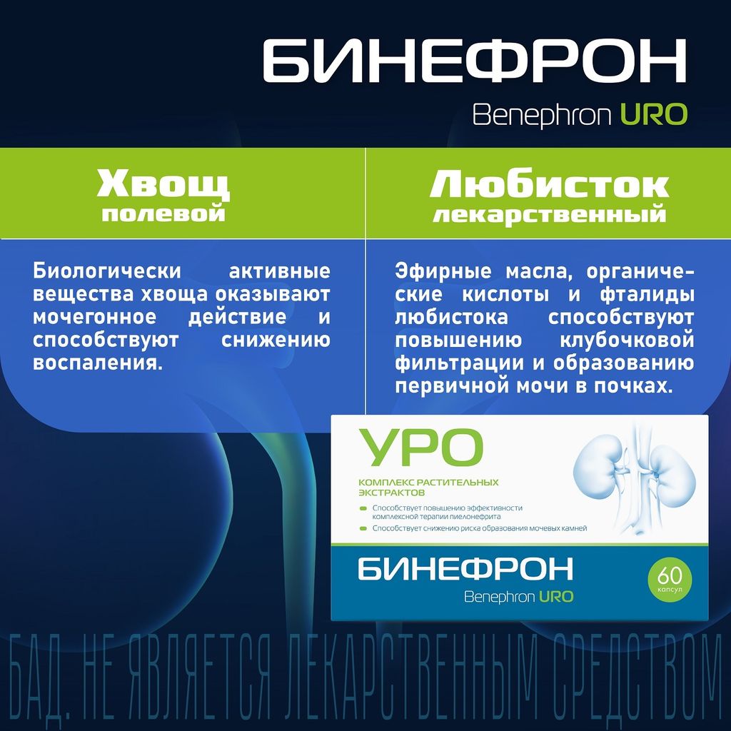 Бинефрон Уро, 460 мг, капсулы, 60 шт.