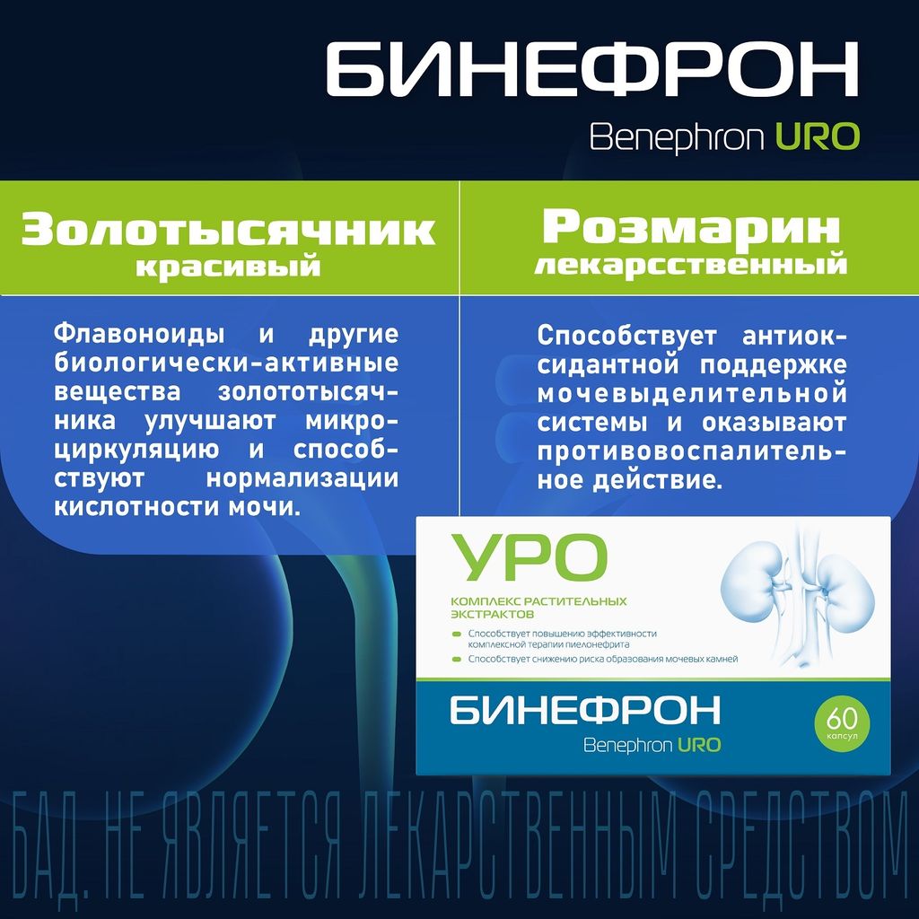 Бинефрон Уро, 460 мг, капсулы, 60 шт.