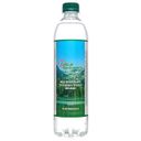 Ессентукская Горная вода Сердце Континента питьевая минеральная, газированная, в пластиковой бутылке, 0.55 л, 1 шт.