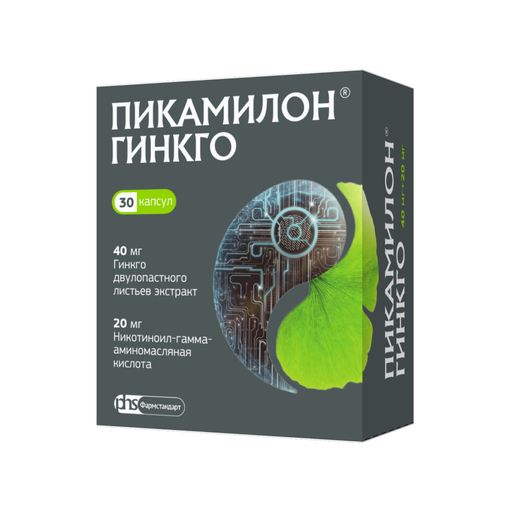 Пикамилон Гинкго, 20 мг+40 мг, капсулы, 30 шт.